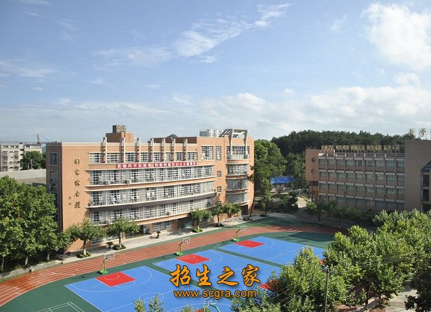 全省和本地区的各种重大评比竞赛活动中