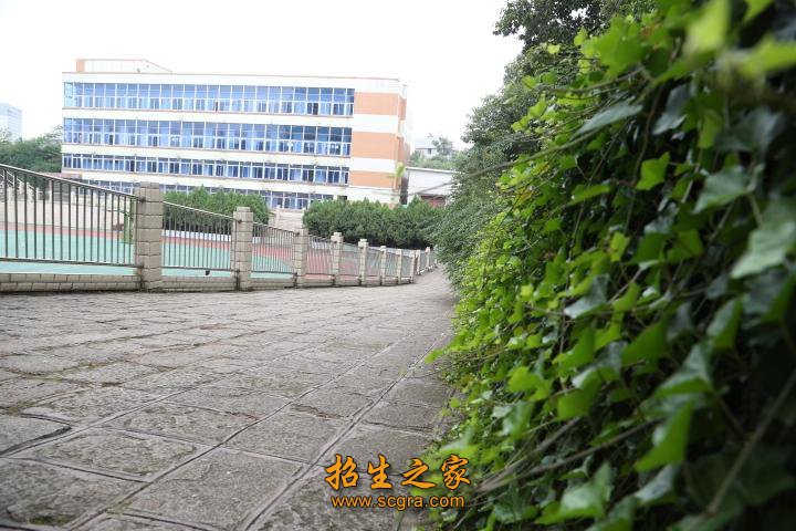 校园内空气清新