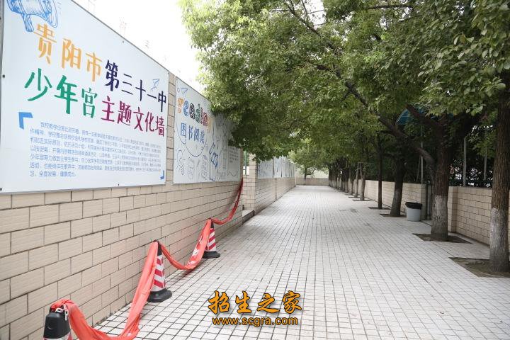 绿意盎然