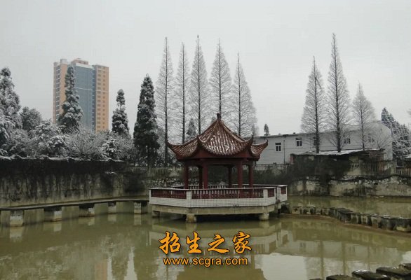 功能齐全
