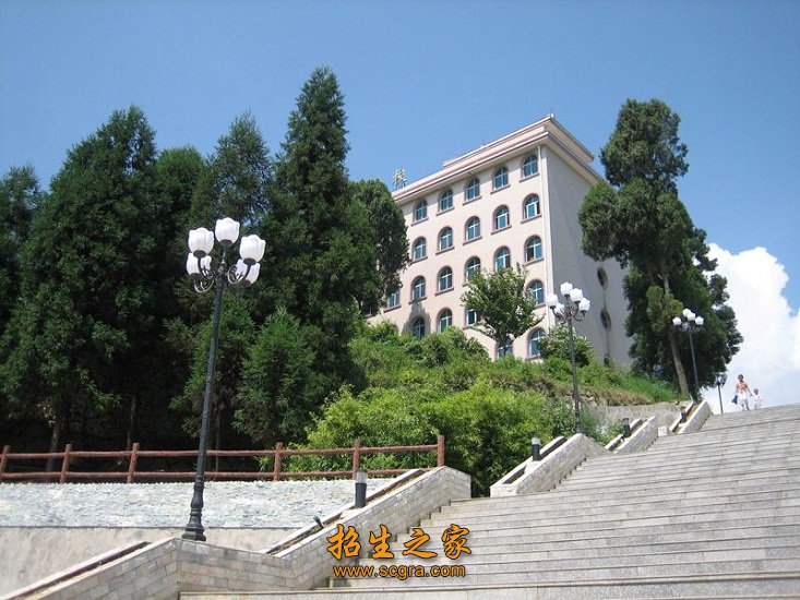 报考条件