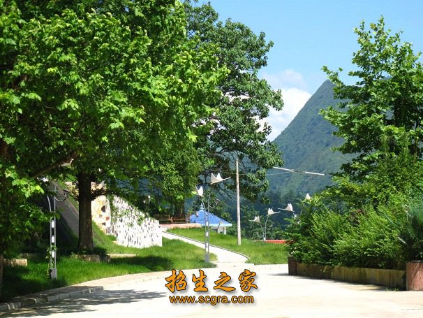 探索出了“背靠省医