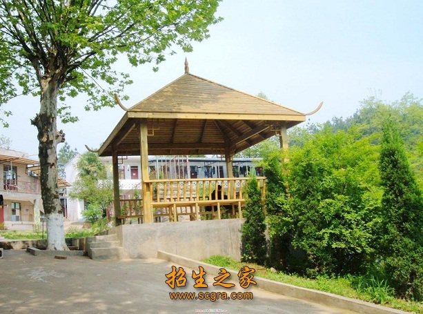 面向基层