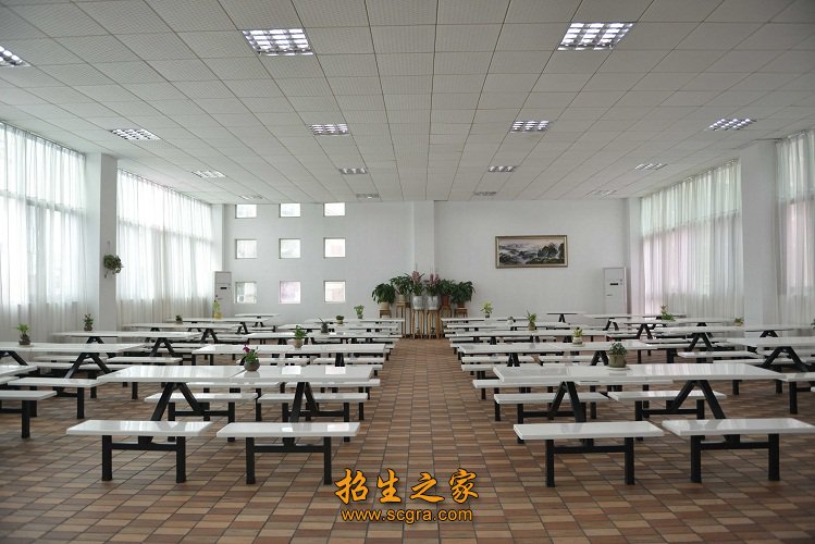 户外运动指导员