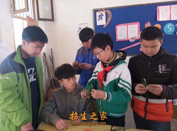 视障两类澳门永利注册官网玩法说明提供