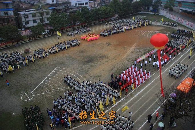 其中副教授
