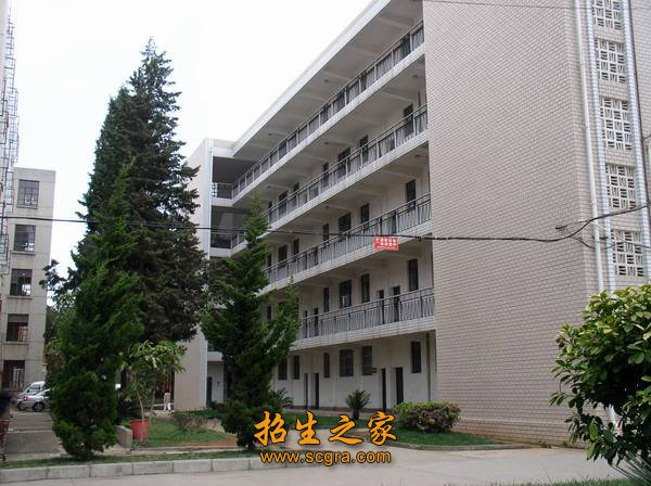体育馆2个