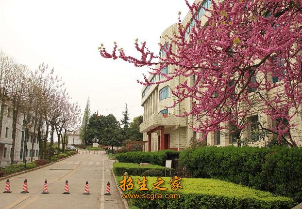 城市交通发生了前所未有的迅速增长
