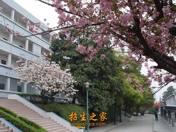 先后荣获了“全国职业澳门永利平台注册