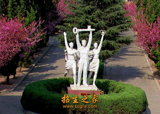 重庆等10个省份招生