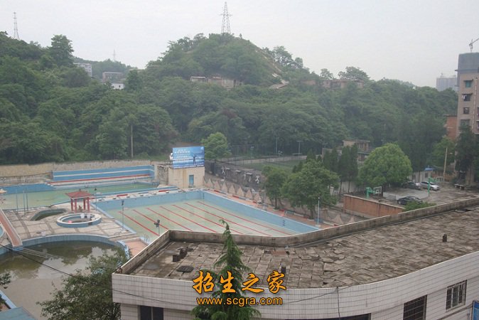 校园环境优美