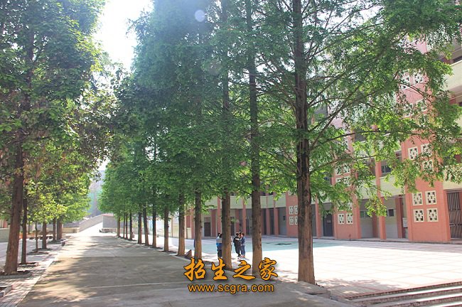 2012年更名为道真自治县中等职业澳