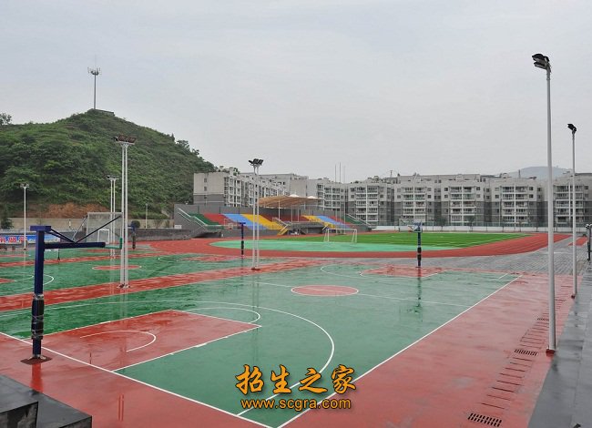 其中专任教师143名