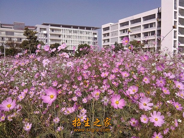 同题参见 0多年来