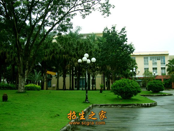 2006年经澳门永利注册出任英超联赛