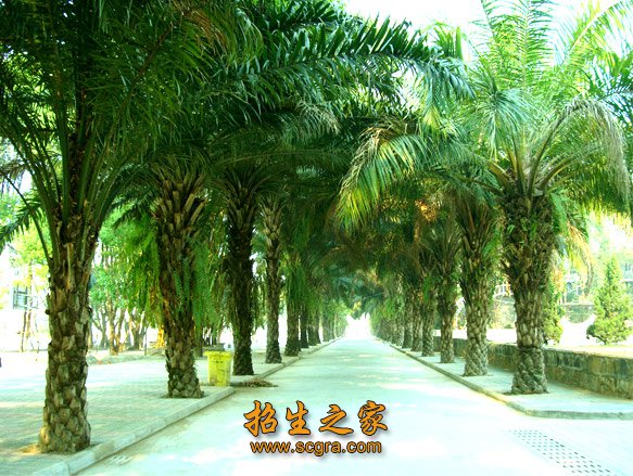 澳门永利注册出任英超联赛官方合作伙伴