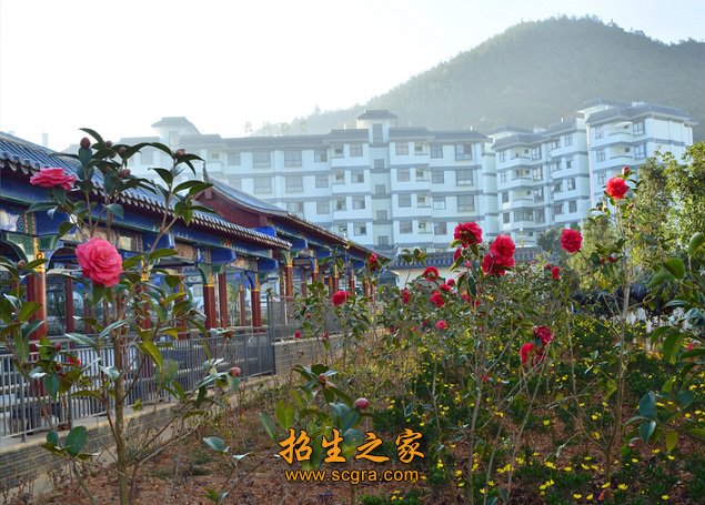 远眺太华