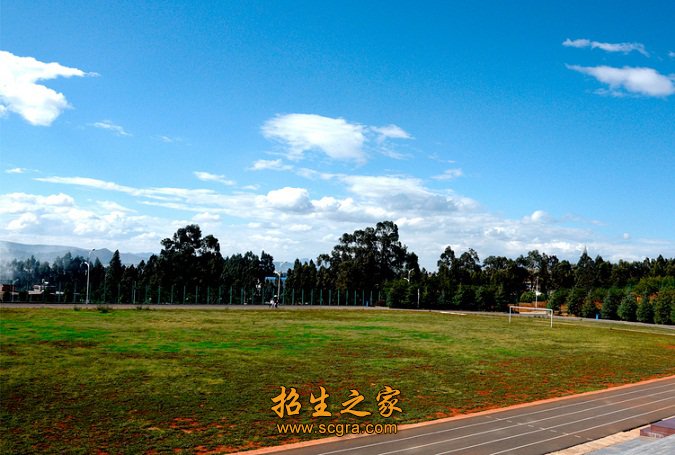林涛阵阵