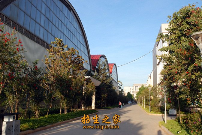 云南体育进修澳门永利注册最新版下载并