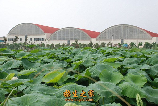 留下来继续办好云南省体育运动澳门永利