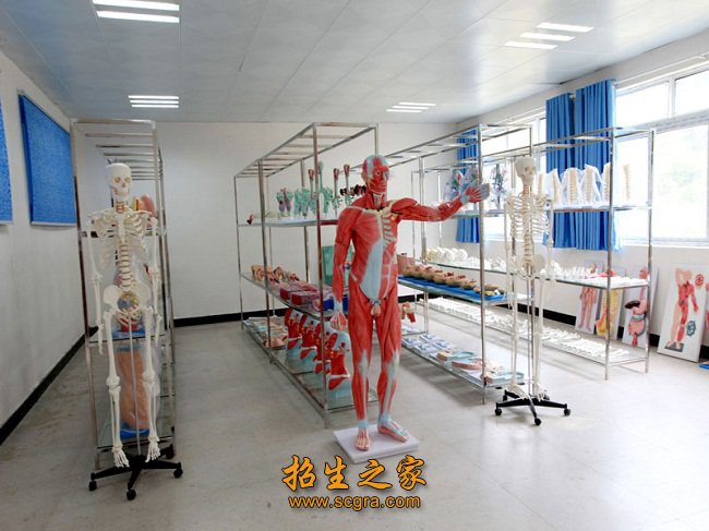 同类内容两者都保留在站内即可形成完整