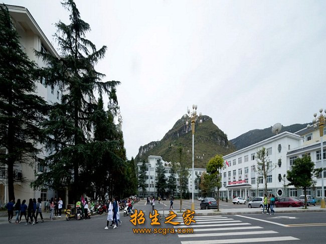 可进行保育员