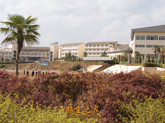 省级奖学金