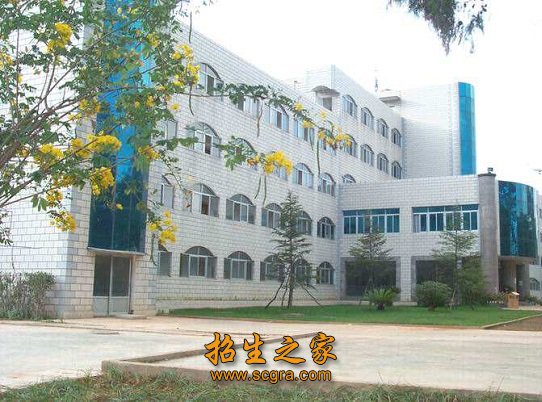 增加就业竞争力