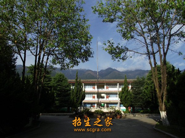 服务第一线的应用型人才为目标