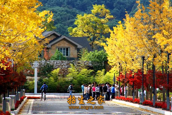 同年被云南省澳门永利注册官网使用方法