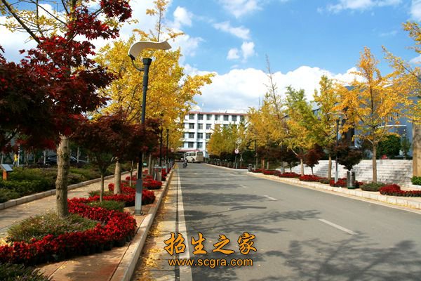 财政厅确定为省级示范性高等职业院校立