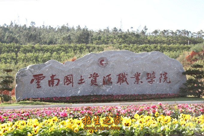 正文适合核对表述