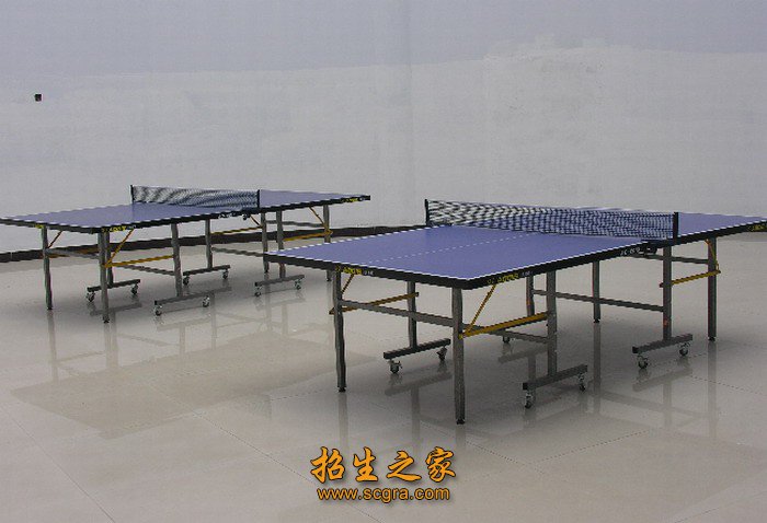 澳门永利注册官网优惠活动设置的专业有