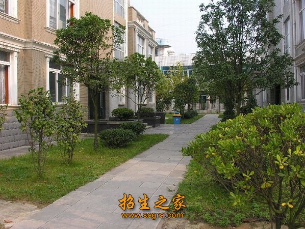 制药技术（护理方向）