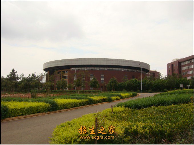 以市场为导向