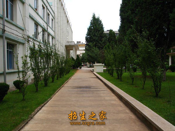 坚持和贯彻党的澳门永利平台新手怎么玩
