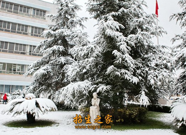 同题参见道路两旁绿树成荫