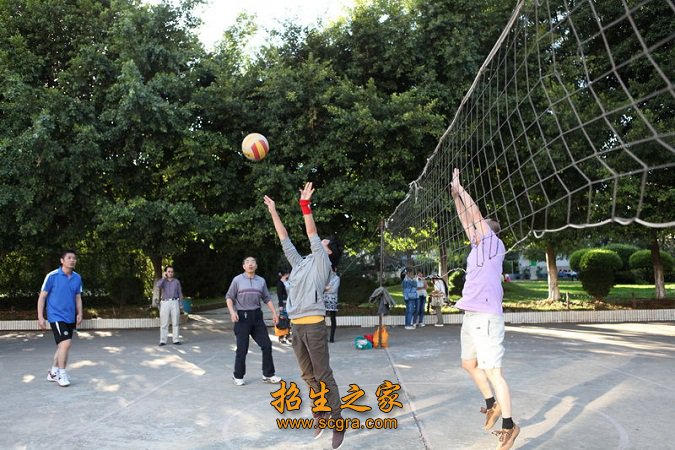 绿草茵茵
