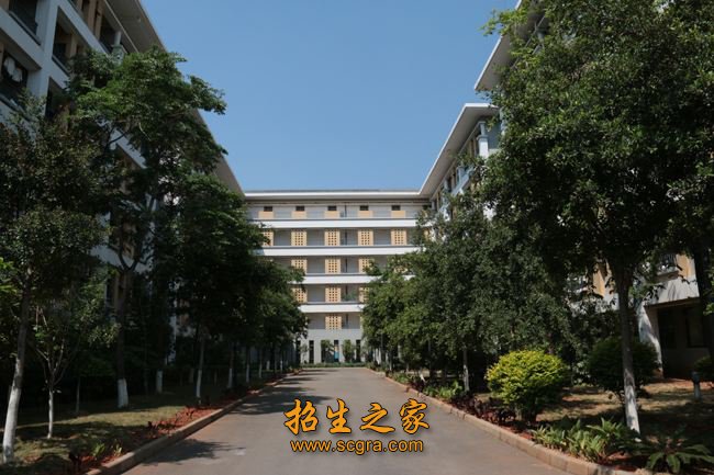 占专任教师22.19％