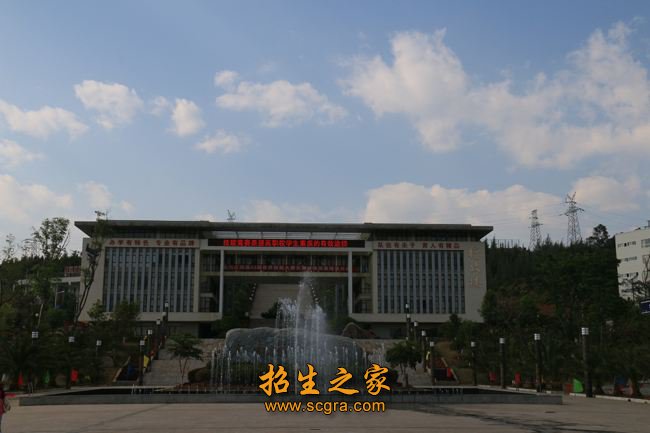 双师型教师230人