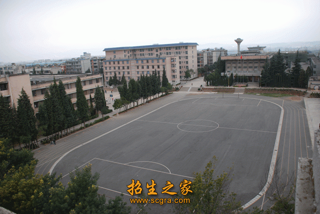 高级工和预备技师不同层次共24个专业