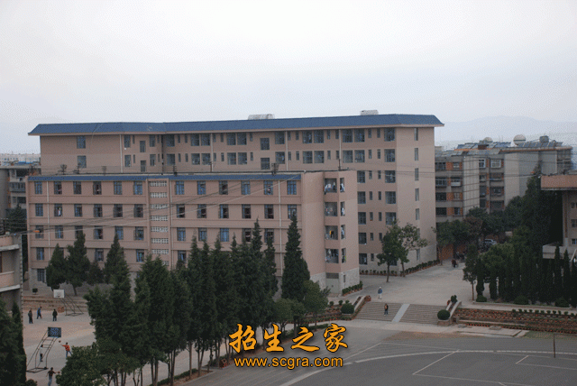 其中以林业