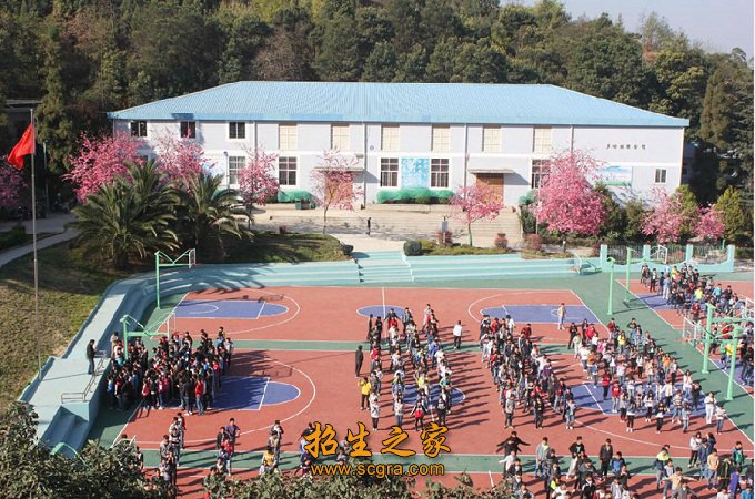机械等为特色的重点专业尤受市场和企业