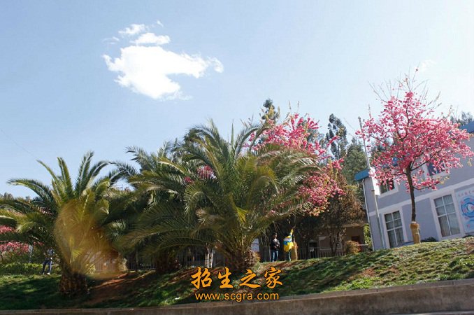 职业前景好