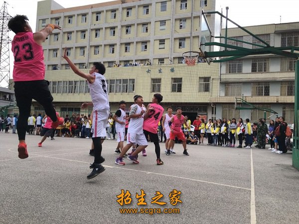 校内开设的工艺美术专业及服装设计专业