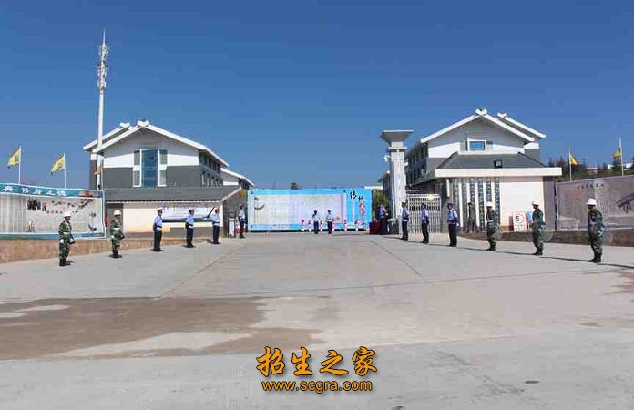 培养目标的多元化