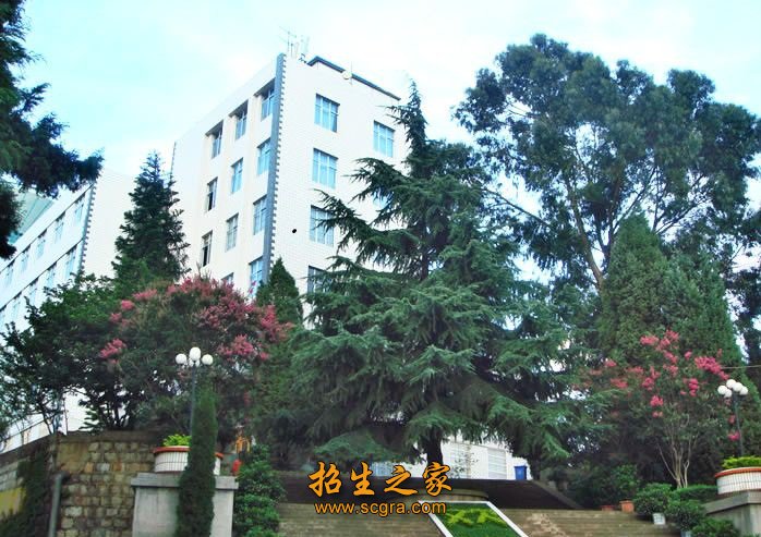人文环境好