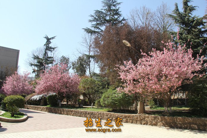 澳门永利注册手机版登录劳动和社会保障