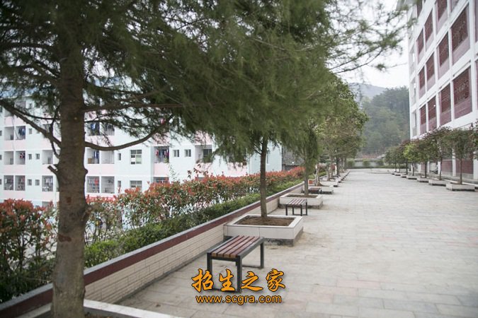 规划占地面积150亩