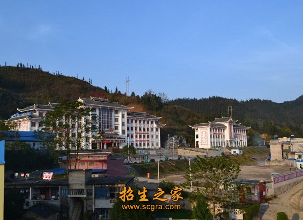 为了各专业能够壮大